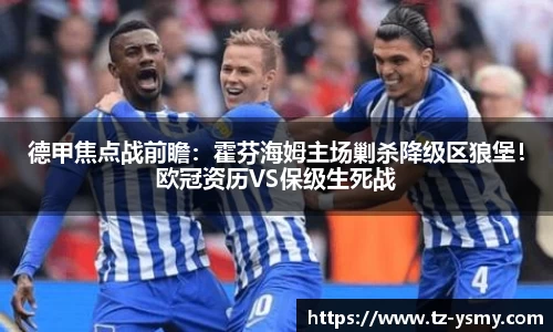 德甲焦点战前瞻：霍芬海姆主场剿杀降级区狼堡！欧冠资历VS保级生死战